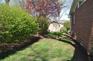 backyard view