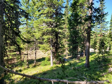 Mature trees