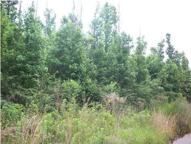 LOT #8 Edgewood Ct, Atmore, AL 36502 - photo 5