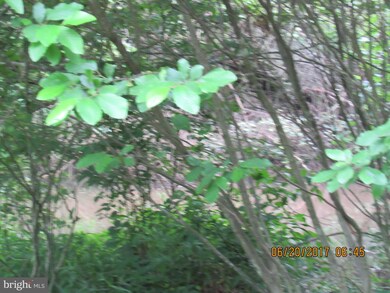 0 Bull Yearling Rd unit 1001224353, Stanardsville, VA 22973 - photo 5