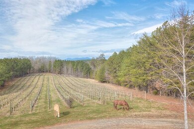 Land is suited to equestrian pursuits - lots of ac