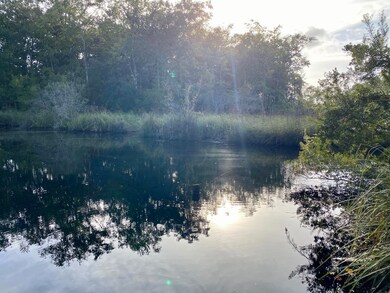 20200901_223536667_iOS