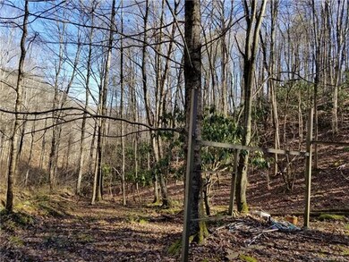 000 Roaring Fork Rd, Burnsville, NC 28714 - photo 5