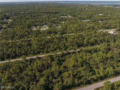 14142 Dunlap Ave, Port Charlotte, FL 33953 - photo 6