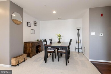 4800 Coyle Rd unit 506, Owings Mills, MD 21117 - photo 4