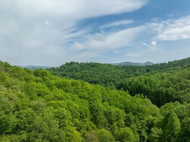 890 Panther Branch Rd, Hot Springs, NC 28743 - photo 7