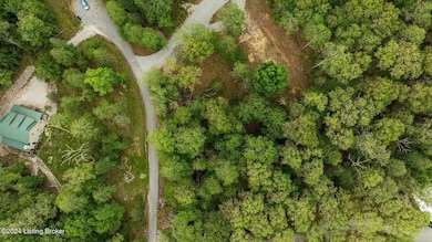 5-web-or-mls-DJI_0070