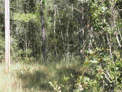 TBD Spring Dr, Middleburg, FL 32068 - photo 7