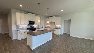 4231 Cornerstone Cir, Granbury, TX 76048 - photo 5