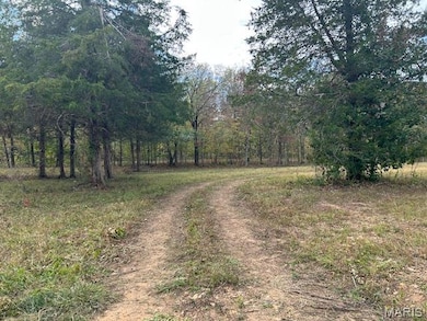 2664 M St, Ironton, MO 63650 - photo 5