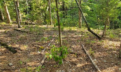 Lot 4 Greta Ln, Bella Vista, AR 72715 - photo 3