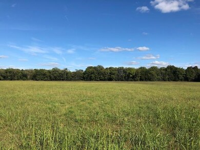 2703 Warner Rd, Lewisburg, TN 37091 - photo 2