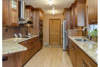 Other. Custom lyptus cabinets, granite, stainless 
