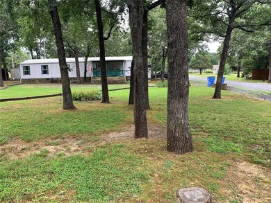 View of grassy yard