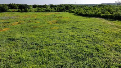 0 Terrapin Rd, Olney, TX 76374 - photo 7