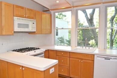 548 Green St unit 2, Cambridge, MA 02139 - photo 3