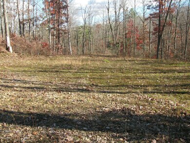 IMG_0660_resized (1)