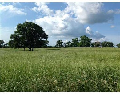 Land/Lot.