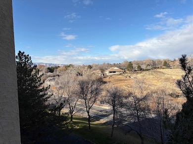 Horizon Towers unit 308, Grand Junction, CO 81506 - photo 3