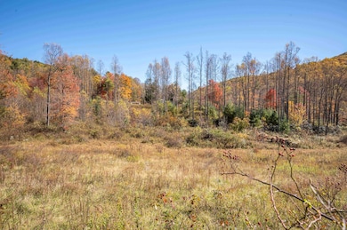 971 Phadettia Rd SW, Willis, VA 24380 - photo 4