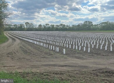 812 Garden Rd, Pittsgrove, NJ 08318 - photo 7