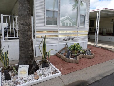 GREAT LANDSCAPING