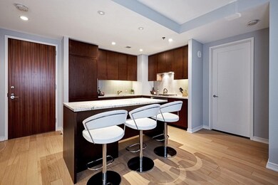 Millenium Place unit 505, Boston, MA 02111 - photo 2
