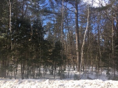 00 Forbes Dr, North Conway, NH 03860 - photo 3