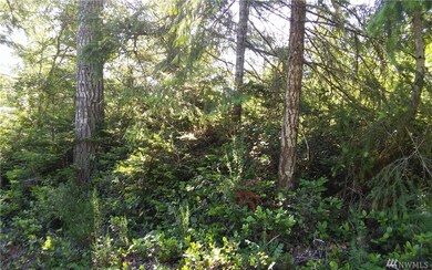 0 Thomas Rd unit 955007, Grapeview, WA 98546 - photo 3