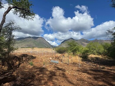 952 Luawai St, Olowalu, HI 96761 - photo 3