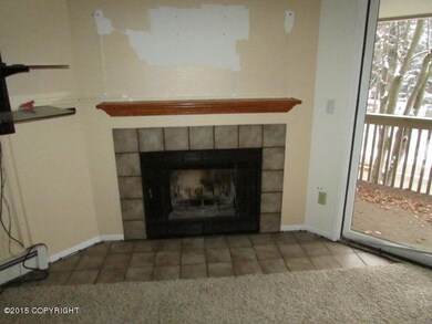 111-155206 Fireplace
