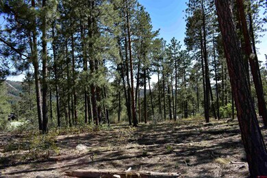 733 Red Canyon Trail, Durango, CO 81301 - photo 4