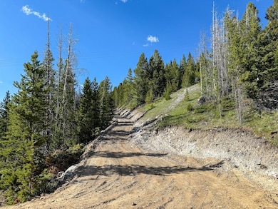 Tbd Gold Coin Ln, Anaconda, MT 59711 - photo 4