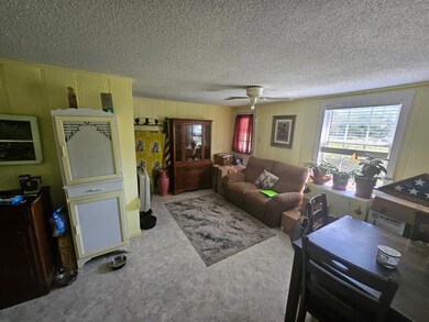 6 Roberts Ln, Foxworth, MS 39483 - photo 4