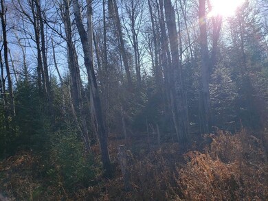 3455W Wisconsin 182, Mercer, WI 54547 - photo 3