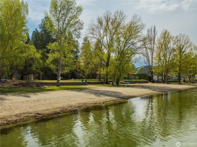 41 Champerty Rd, Oroville, WA 98844 - photo 6