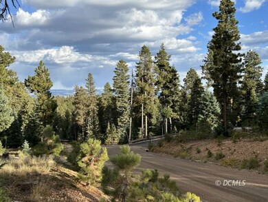 1255 Browning Rd, Duck Creek, UT 84762 - photo 6