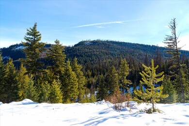 NHN Elk Creek - McGinnis Meadows Road Section 11, Libby, MT 59923 - photo 6