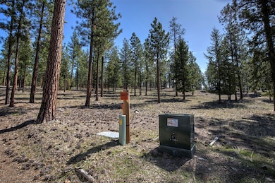 31760 Hwy 10 W, Alberton, MT 59820 - photo 6