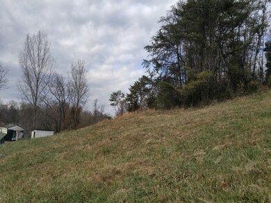 TBD Watauga Rd, Watauga, TN 37694 - photo 6