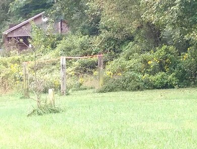 0 Onzie Stewart Rd, Arjay, KY 40902 - photo 2