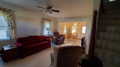20241213_132317 (1)