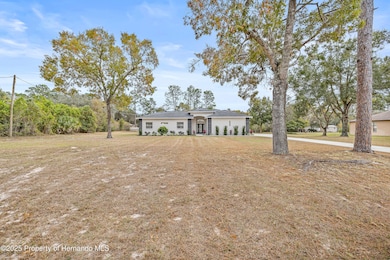 13186 Coronado Dr, Spring Hill, FL 34609 - photo 6