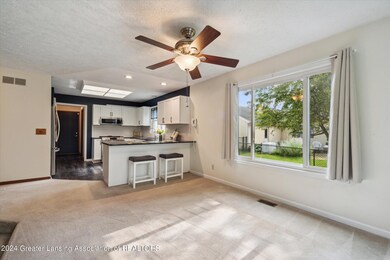 12-904-Mcdiarmid-Ln-Grand-Ledge-MI-48837