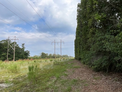 3887 Old Salkehatchie Rd, Early Branch, SC 29916 - photo 4