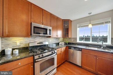 The West Village of Shirlington unit 403, Arlington, VA 22204 - photo 7