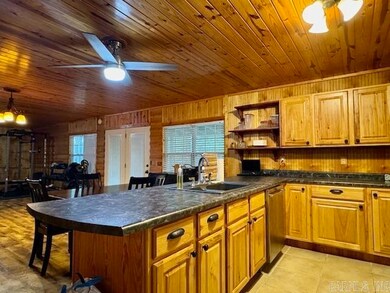 4373 Highway 25, Powhatan, AR 72458 - photo 4