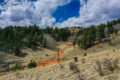TBD Valley Rd, Divide, CO 60814 - photo 6