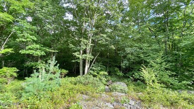 Lot 9 Blue Heron Way, Hawley, PA 18428 - photo 3
