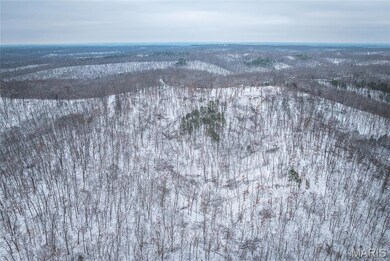 000 Click, Richwoods, MO 63071 - photo 6